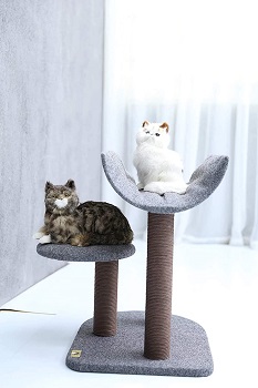 Pet Pals Short Cat Tree Review