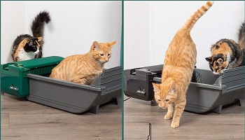 Pet Zone Smart Scoop Automatic Litter Box Review