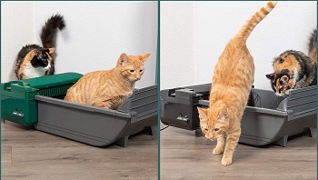 Pet Zone Smart Scoop Automatic Litter Box Review