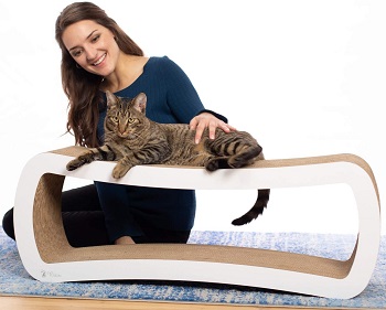 PetFusion Scratcher review