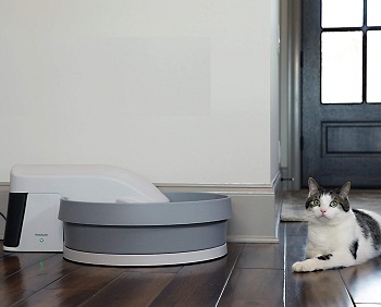 PetSafe Simply Clean Litter Box