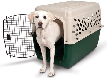 BEST PLASTIC LARGE DOG CAR CRATE