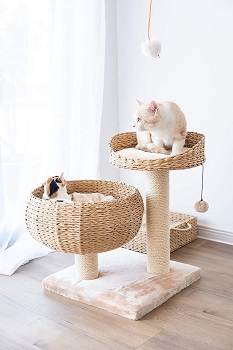 Petpals Space-Saving Tree Tower Review