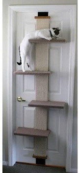 SmartCat Wall Door Cat Tree Climber Review