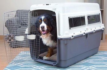 BEST GIANT DOG CRATE AIRLINE APPROVED