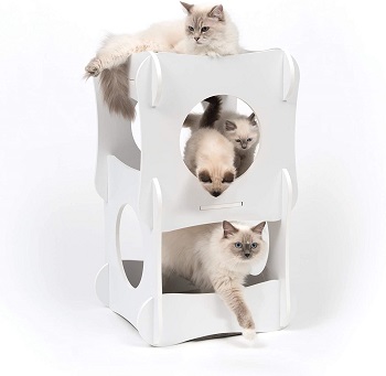 Vesper White Cat Condo Tower Review