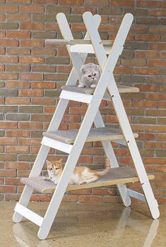 Zoovila Foldable Climbing Cat Tree Review