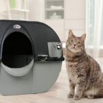 best-5-self-cleaning-litter-boxes-for-large-cats-reviewed