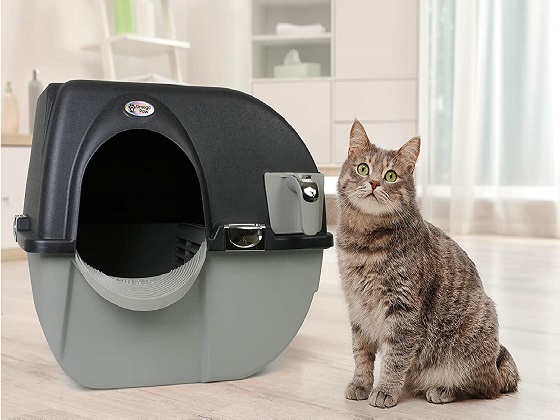 Best 5 SelfCleaning Litter Boxes For Large Cats Reviewed