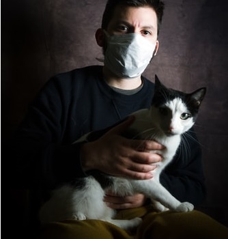 cat veterinarian