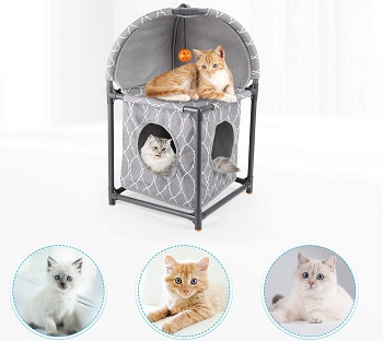 isYoung 2-Tier Plastic Cat Condo Review