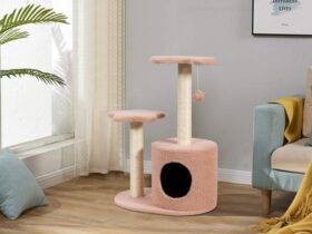 pink cat condo tower