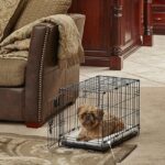 small-metal-dog-crate