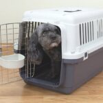 small-plastic-dog-crate