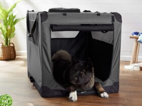 soft-side-dog-crate-large