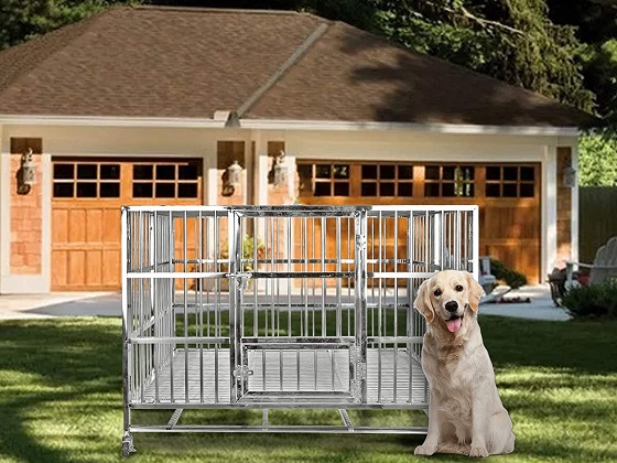stainless-steel-dog-crate