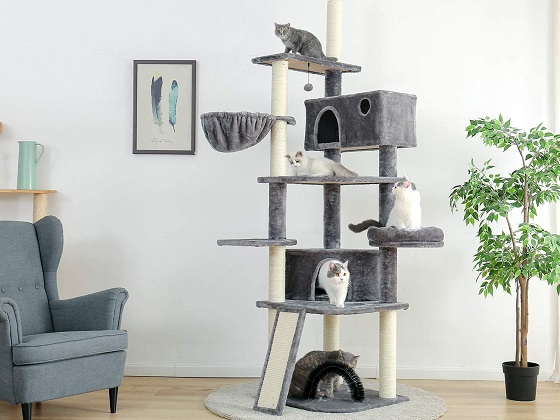 tall cat tree for large cats