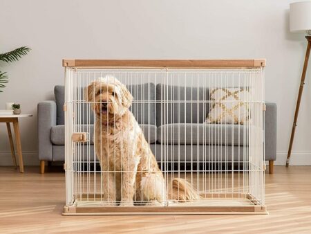 Best 5 Locking/Lockup Dog Crates With Safe Door Locks 2021