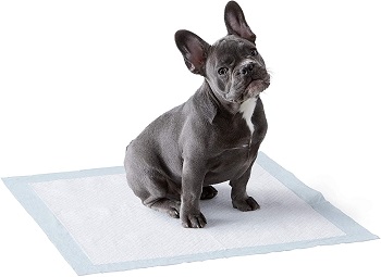 Amazon Basics Dog Potty Training Pads