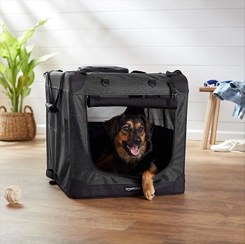 Amazon Basics Portable Soft Dog Crate