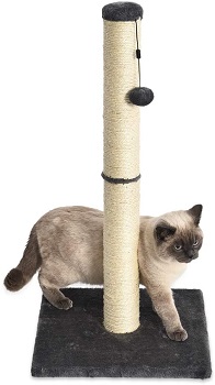 AmazonBasics Cat Post