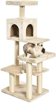 AmazonBasics Multi-Level Cat Tree Review