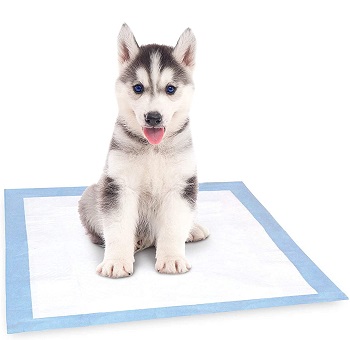 American Kennel Club Puppy Pads