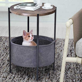 Amolife Nice Looking Cat Furniture Review