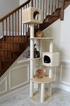 Armarkat Cat Condo Tall Tree Review