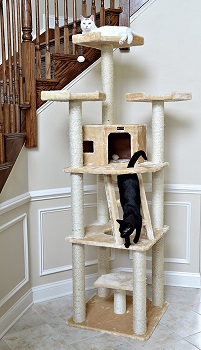 Best 6 Extra Large XL Cat Tree, Condo & Towers For All Cats