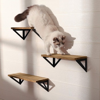 Bayka 2 in 1 Wall Shelf For Cats Review