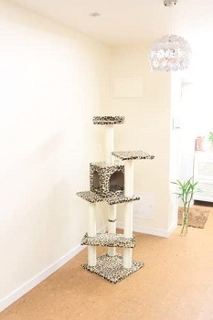 BestPet Leopard Condo Cat Tree Review