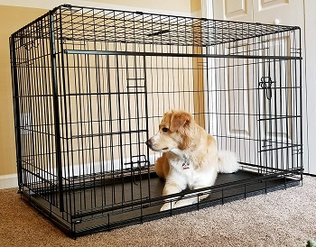 BEST INDOOR EXTRA LARGE FOLDING DOG CRATE