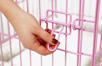 Carlson Pink Dog Crate