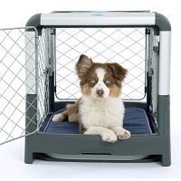 Diggs Revol Collapsible Dog Crate Summary