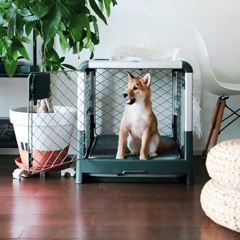 BEST OF BEST COLLAPSIBLE PLASTIC DOG CRATE