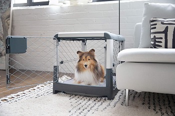 BEST OF BEST ADJUSTABLE DOG CRATE