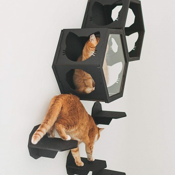 Enjoy The Wood Wall Cat Tree Review