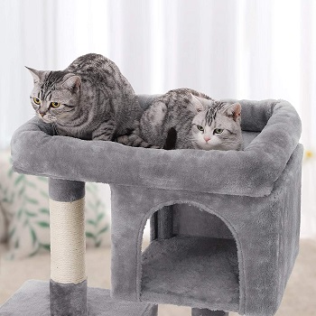 Feandrea Two-Level Condo Cat Tree Review