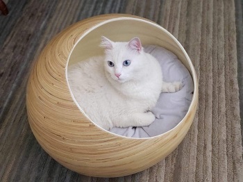 Fhasso Igloo Cat Cave Bed Review