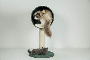 FurryTail Scandinavian Cat Tree Condo