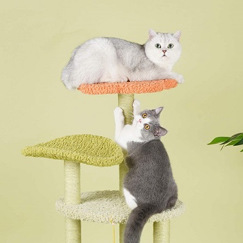 Furrytail Scratching Tree For Cats Review