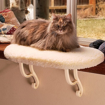 K&H Cat Window Shelf Review