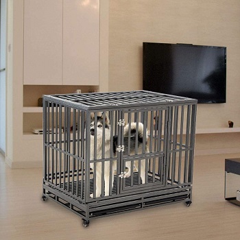 LUCKUP Heavy Duty Dog Crate