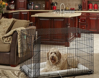 MidWest Homes for Pets Dog Crate