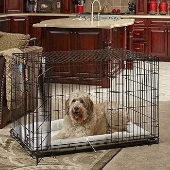 MidWest Life Stages Folding Crate