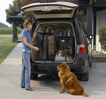 Midwest Side-by-Side SUV Crate