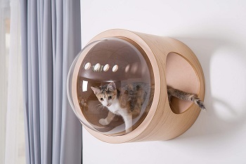 Myzoo Minimalist Cat Furniture Review