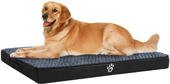 OQQ Orthopedic Dog Bed