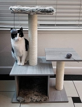 Oak & Paw Cat Resort Luxury Cat Tree